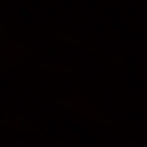 Meet your Posher, Frank